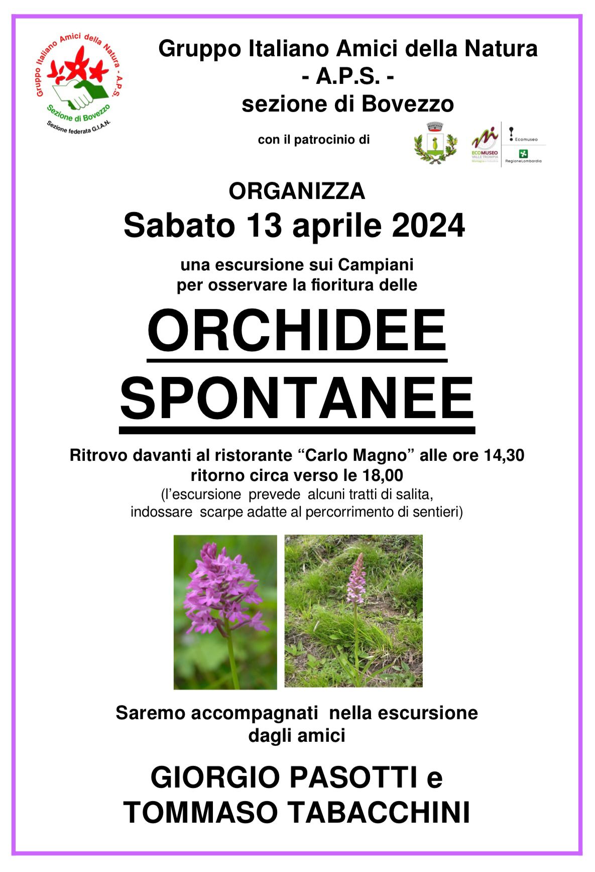 Orchidee spontanee